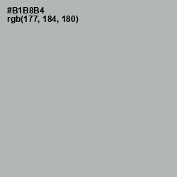 #B1B8B4 - Nobel Color Image