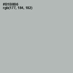 #B1B8B6 - Nobel Color Image