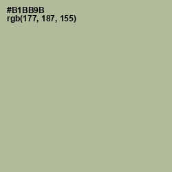 #B1BB9B - Heathered Gray Color Image