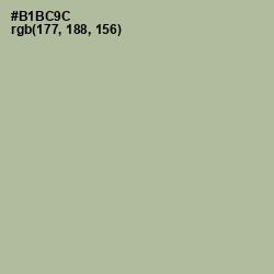 #B1BC9C - Heathered Gray Color Image