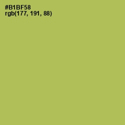 #B1BF58 - Olive Green Color Image