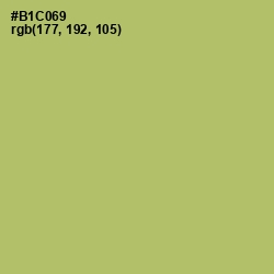 #B1C069 - Wild Willow Color Image