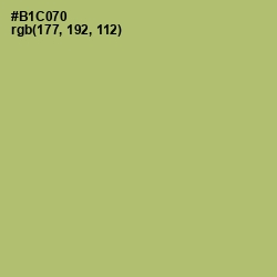 #B1C070 - Wild Willow Color Image