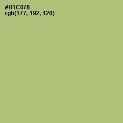#B1C078 - Wild Willow Color Image