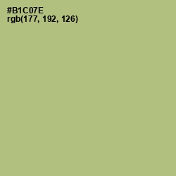 #B1C07E - Wild Willow Color Image