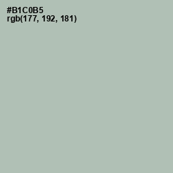 #B1C0B5 - Green Spring Color Image