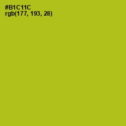 #B1C11C - La Rioja Color Image