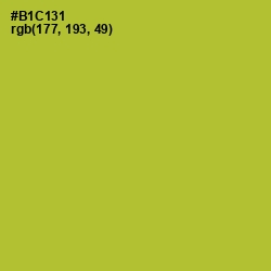 #B1C131 - Key Lime Pie Color Image