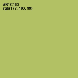 #B1C163 - Wild Willow Color Image