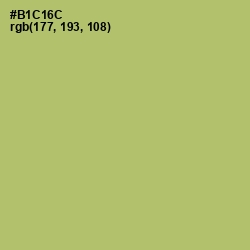 #B1C16C - Wild Willow Color Image