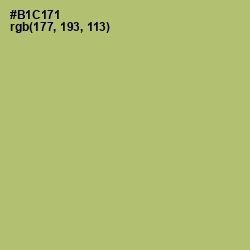 #B1C171 - Wild Willow Color Image