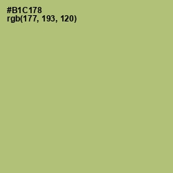 #B1C178 - Wild Willow Color Image