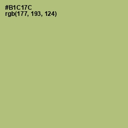 #B1C17C - Wild Willow Color Image