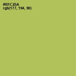 #B1C25A - Celery Color Image