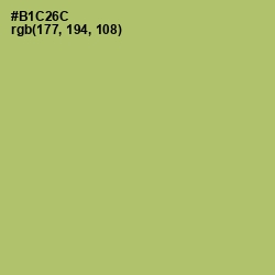 #B1C26C - Wild Willow Color Image