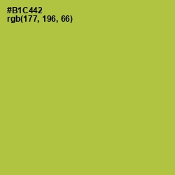 #B1C442 - Conifer Color Image