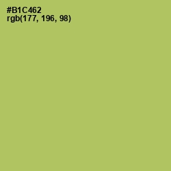 #B1C462 - Wild Willow Color Image