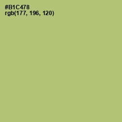 #B1C478 - Wild Willow Color Image