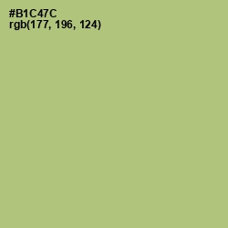 #B1C47C - Wild Willow Color Image