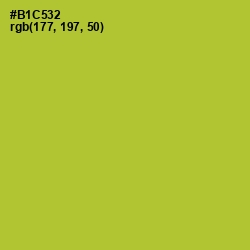 #B1C532 - Key Lime Pie Color Image