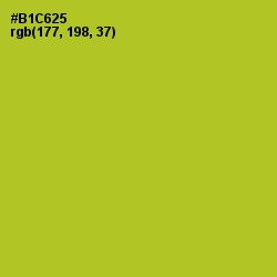 #B1C625 - Key Lime Pie Color Image