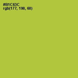 #B1C63C - Key Lime Pie Color Image