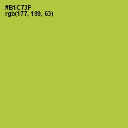 #B1C73F - Key Lime Pie Color Image
