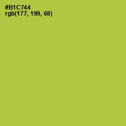 #B1C744 - Conifer Color Image
