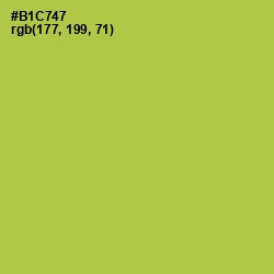 #B1C747 - Conifer Color Image