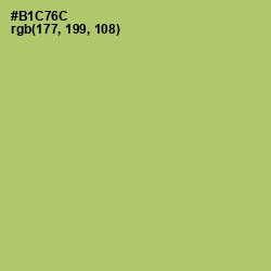 #B1C76C - Wild Willow Color Image