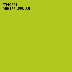 #B1C821 - Key Lime Pie Color Image