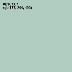 #B1CCC1 - Powder Ash Color Image