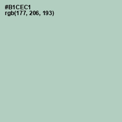 #B1CEC1 - Powder Ash Color Image