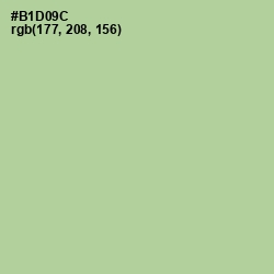 #B1D09C - Rainee Color Image