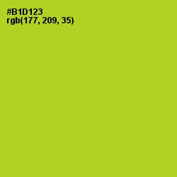#B1D123 - Key Lime Pie Color Image