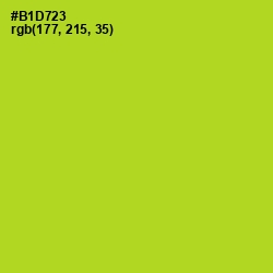 #B1D723 - Key Lime Pie Color Image