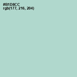 #B1D8CC - Jet Stream Color Image