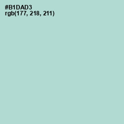 #B1DAD3 - Jet Stream Color Image