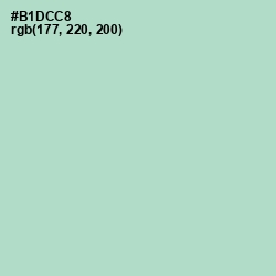 #B1DCC8 - Jet Stream Color Image