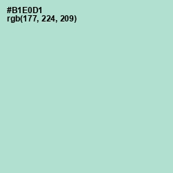 #B1E0D1 - Cruise Color Image