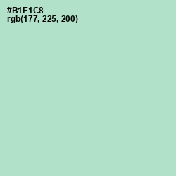 #B1E1C8 - Fringy Flower Color Image