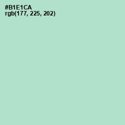 #B1E1CA - Fringy Flower Color Image