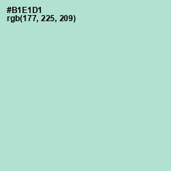 #B1E1D1 - Cruise Color Image