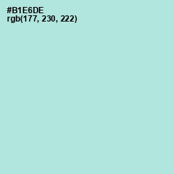#B1E6DE - Cruise Color Image