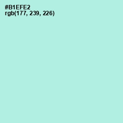 #B1EFE2 - Powder Blue Color Image