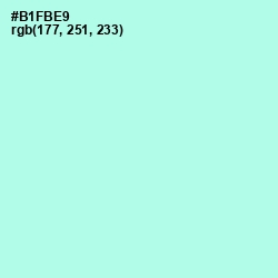 #B1FBE9 - Ice Cold Color Image
