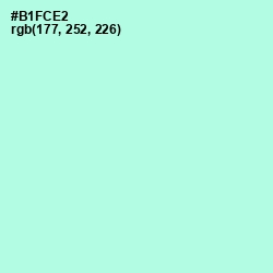 #B1FCE2 - Ice Cold Color Image