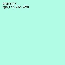 #B1FCE5 - Ice Cold Color Image