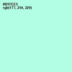 #B1FEE5 - Ice Cold Color Image