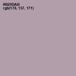 #B29DAB - Amethyst Smoke Color Image